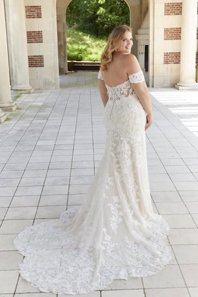 Off the Shoulder Mermaid Champagne Lace Long Prom Dresses, Mermaid Champagne Formal Dresses, Champagne Lace Evening Dresses WT1750